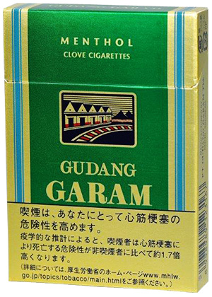 GARAM浓薄荷33mg16 · 外国香烟/ガラム メンソール（16）