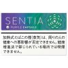 SENTIA蓝莓爆珠 · 加热烟草/センティア パープル カプセル